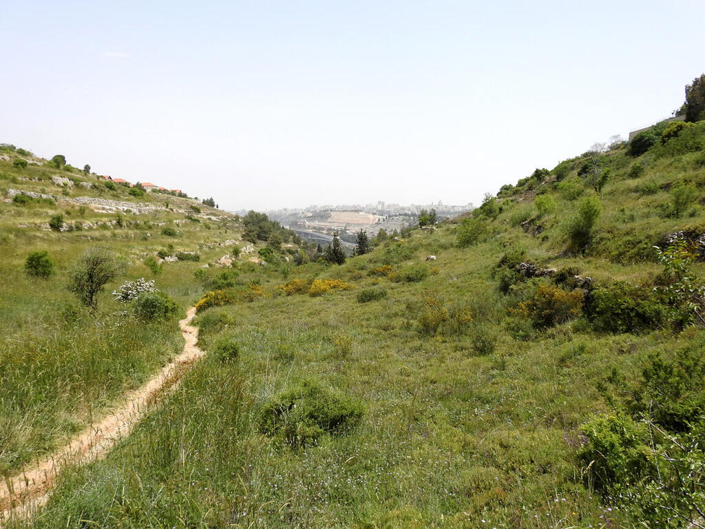 מסלול נחל חלילים (צילום: דב גרינבלט, החברה להגנת הטבע) מסלול נחל חלילים