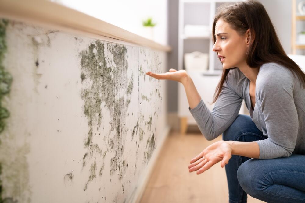 אילוסטרציה (צילום: shutterstock) אילוסטרציה