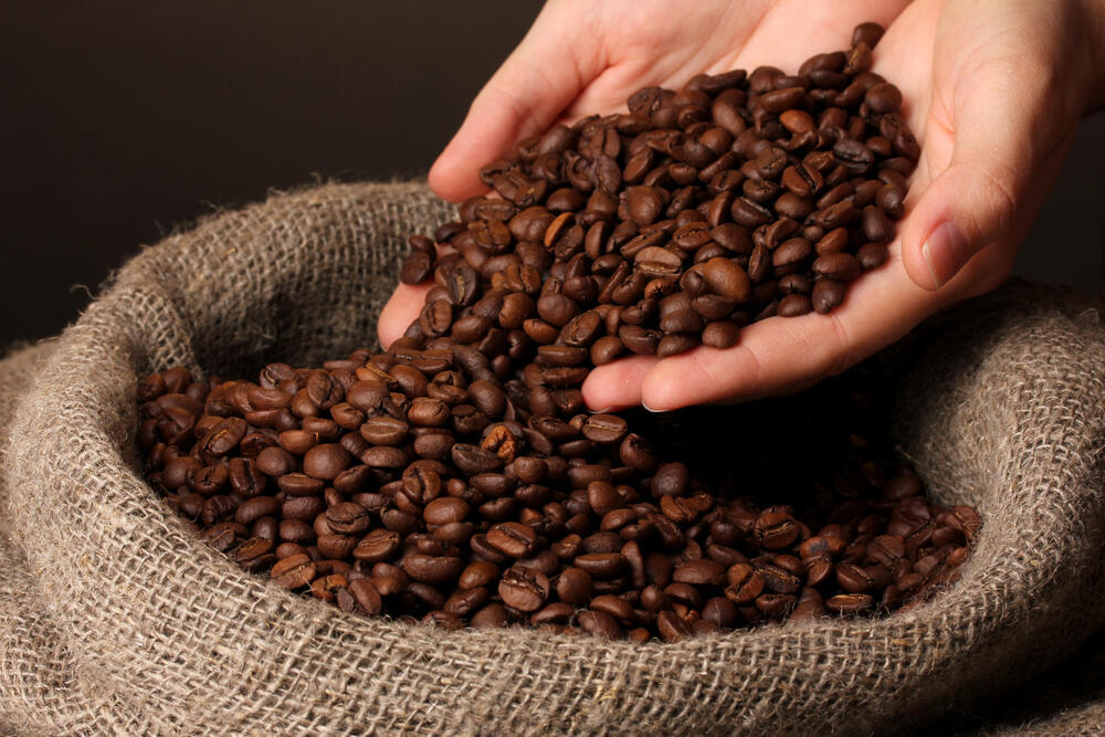 גם באי עם תוחלת החיים הגבוהה בעולם שותים אותו. קפה (צילום: Shutterstock) פולי קפה שמוכנים לטחינה