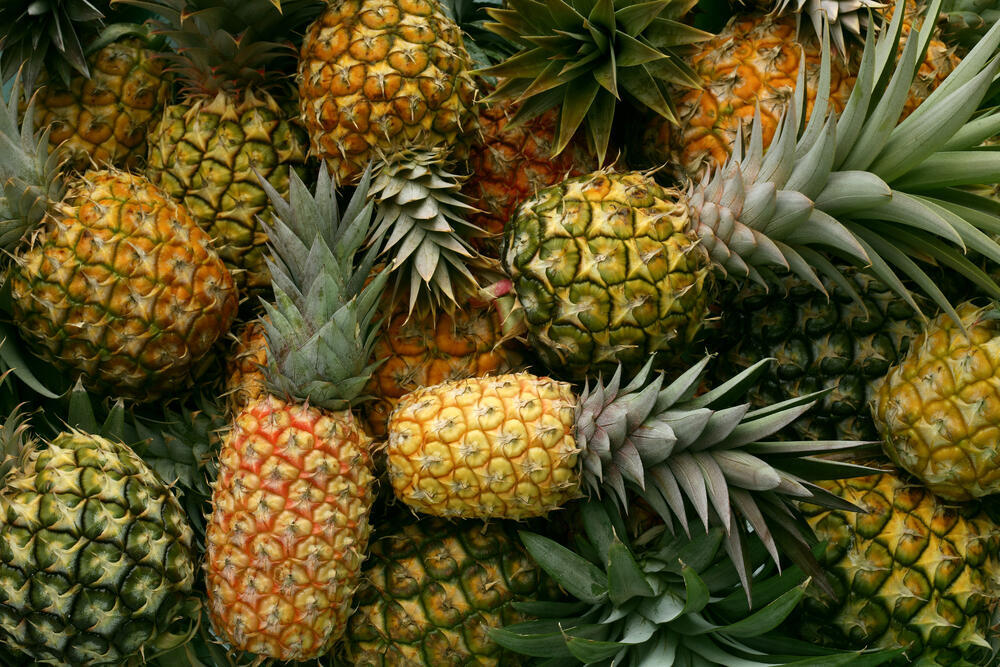 ״אין בסיס מוצק שהוא מזרז צירים״. אננס (צילום: Shutterstock) אננס
