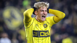 יון ניקולאסקו