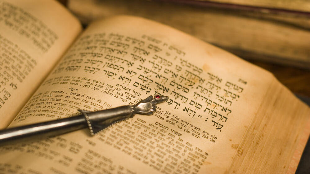 Photo: Shutterstock