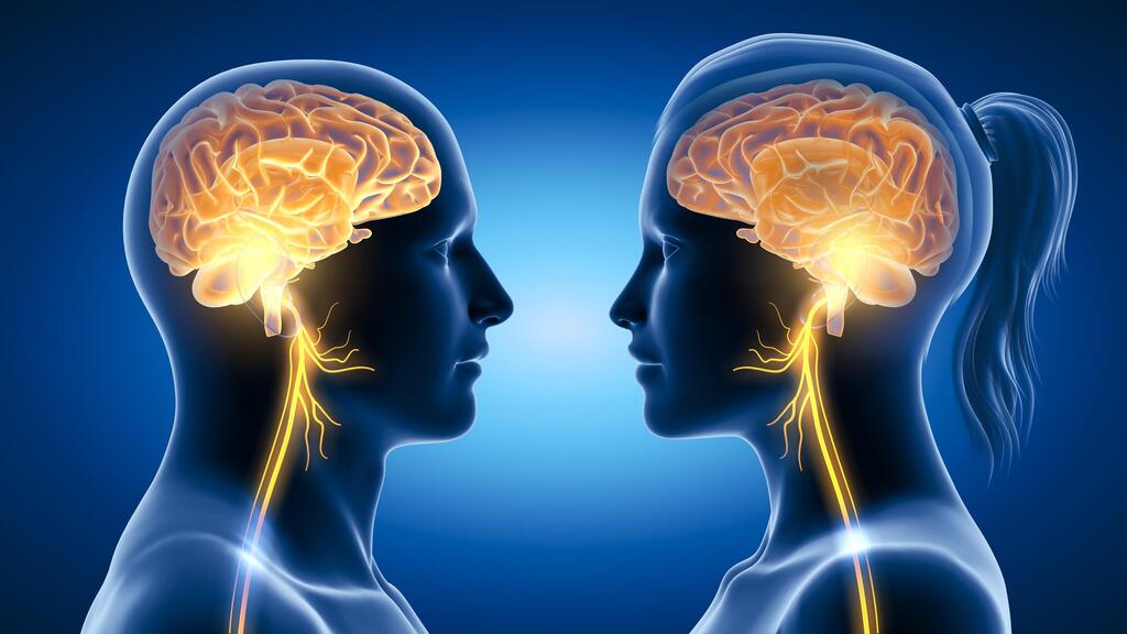 עצב הוואגוס