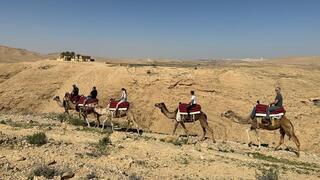רוכבים על גמלים בגן לאומי ממשית