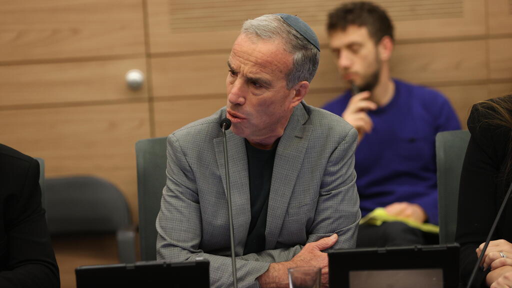 שטרן בוועדת החוקה, חוק ומשפט (צילום: אלכס קולומויסקי) ועדת החוקה, חוק ומשפט