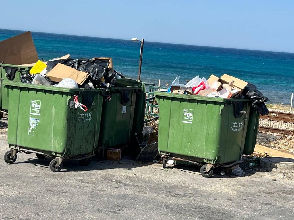 פחי אשפה ירוקים בחיפה (צילום: איתן גליקמן) בעקבות השביתה - האשפה הנערמת בכניסה לחיפה
