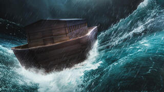 תיבת נח במבול