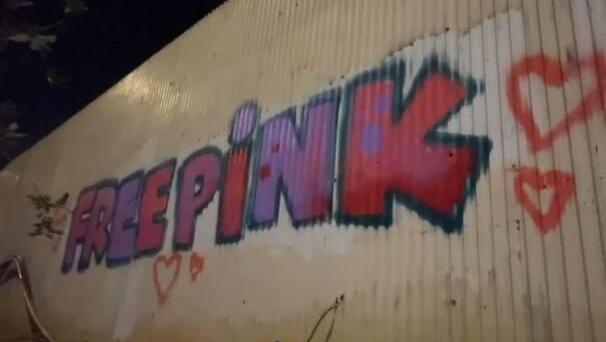 מרססים גרפיטי עם כינויה של ענבר הימן, Pink