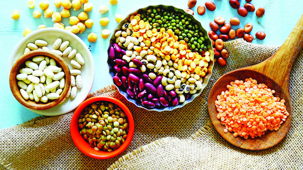 מעניקות אנרגיה וכוח בזכות תכולת החלבון