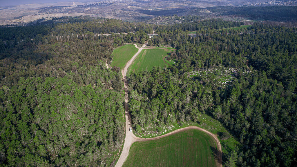 Ben Shemen Forest (Photo: Gideon Sharon) יער בן שמן