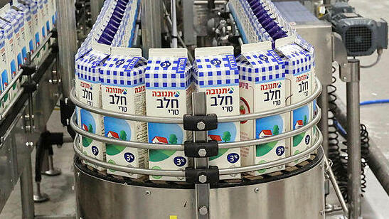 רפורמת החלב אושרה - והנפקת תנובה במיליארדי שקלים תקועה | בלעדי