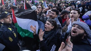 מחאות נגד ישראל במאלמו, שבדיה