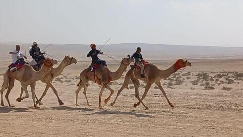 UAE backs revival of Negev camel racing