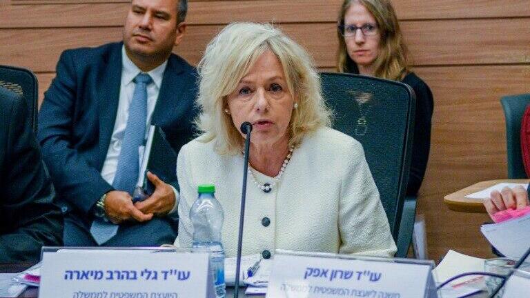 "החלטת בית הדין חסרת בסיס, מצערת ושגויה מיסודה מבחינה משפטית" (צילום: רפי קוץ) גלי בהרב מיארה בוועדת החוקה של הכנסת