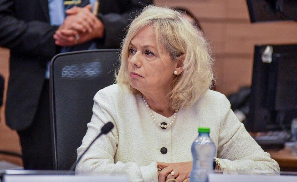 לא תייצג את נתניהו בעתירות. בהרב-מיארה (צילום: רפי קוץ) גלי בהרב מיארה בוועדת החוקה של הכנסת