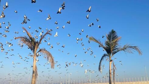 תחזית מזג האוויר: עלייה קלה בטמפרטורות – ומתי יחזור הגשם