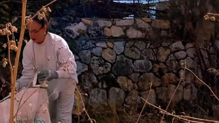 "כל השטח היה עמוס בחלקי יירוט וטילים". רווית אור מסדרת את הגינה תושבי הצפון תיעדו את חזרתם הביתה ברשתות החברתיות