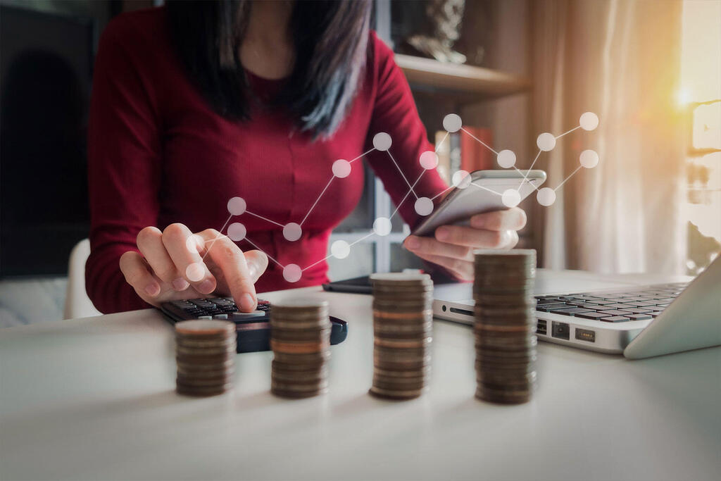 מערכת ניהול עסק וייצוג ברשויות המס