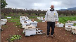 כוורת רייקין שדה אליעזר