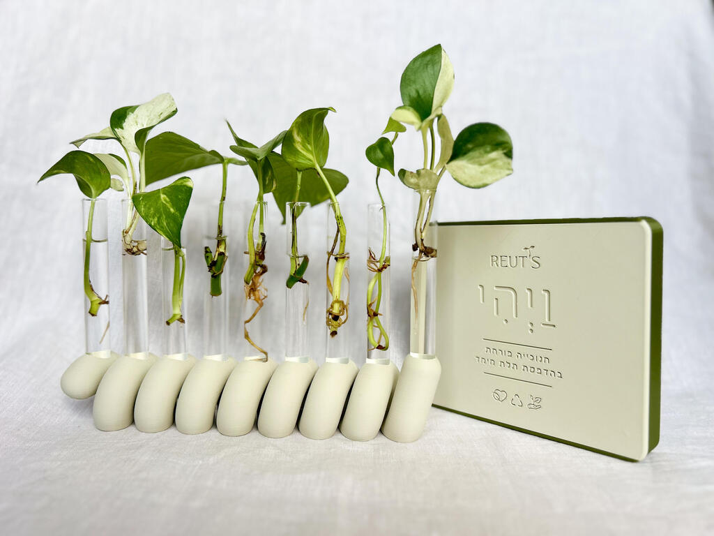 חנוכיית הייחורים, ירוק שמשלים את האש (צילום: רעות בר-טל) חנוכיית הייחורים