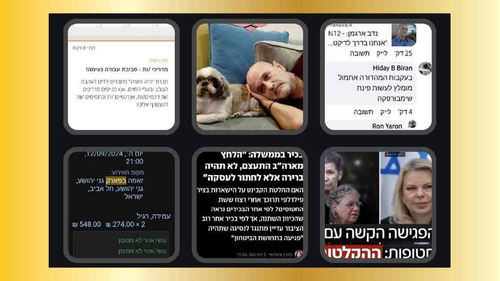 מתוך האפליקציה PixelShot (הדי בירן) מתוך האפליקציה PixelShot