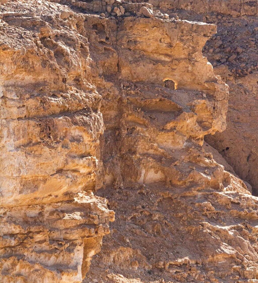 "הסנה הבוער" בכרכום (צילום: רון פלד) "הסנה הבוער" בכרכום