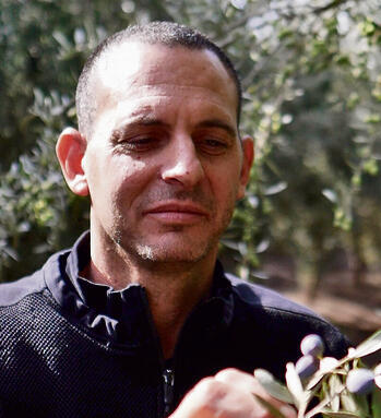 גל אשוש yk14191688