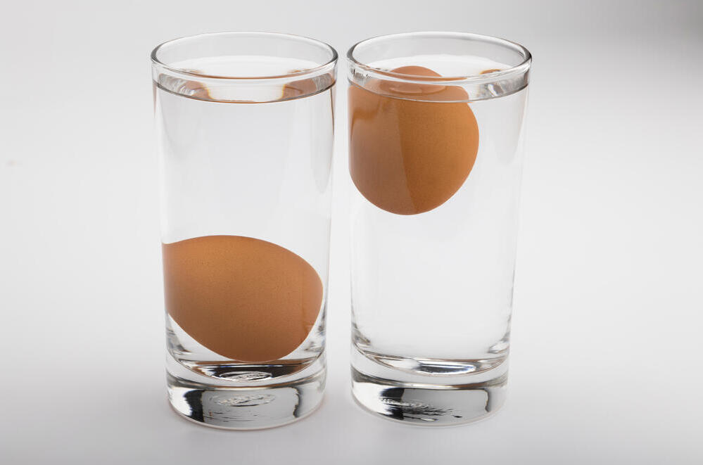 מבחן טריות של ביצים