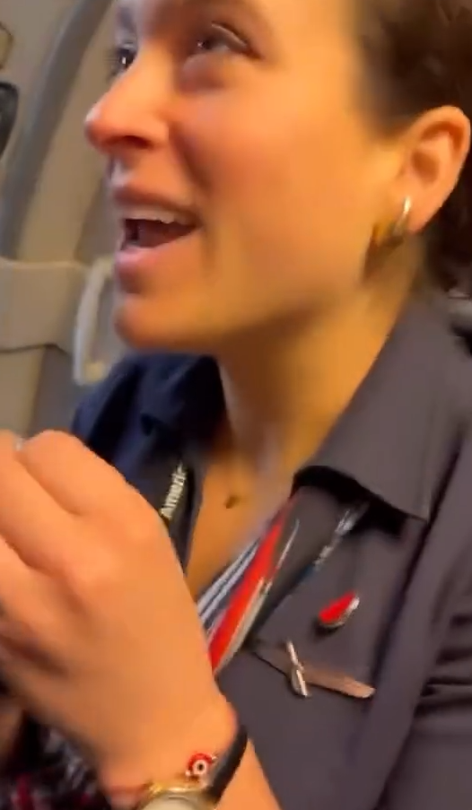 The attendant wearing the pin הדיילת עם סיכת האבטיח