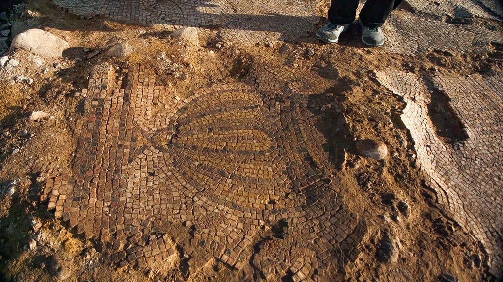 דגם אמפורה על הפסיפס