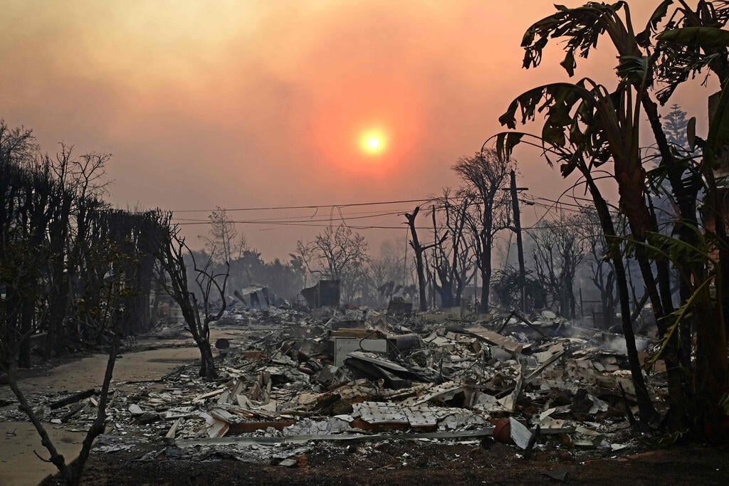 צילום: AGUSTIN PAULLIER / AFP ארצות הברית ארה"ב שריפות לוס אנג'לס