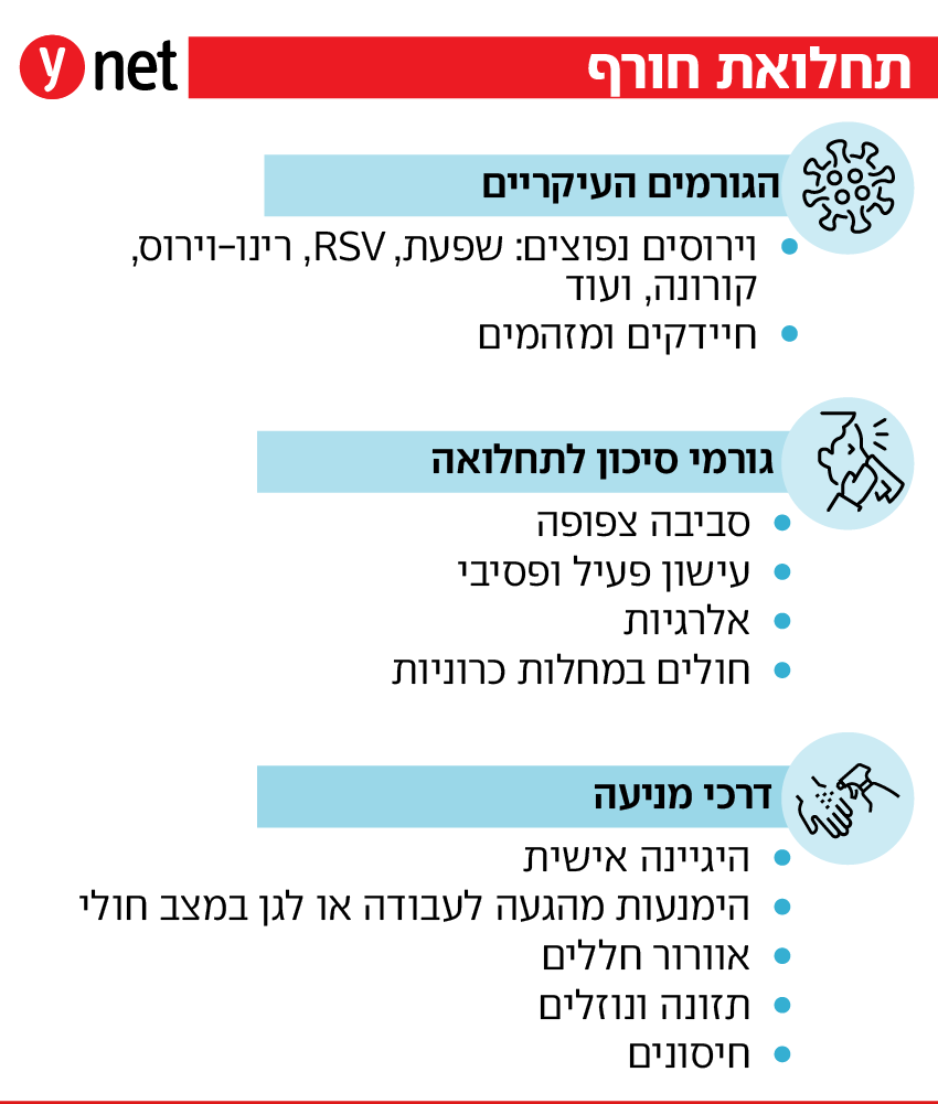 תחלואת חורף תחלואת חורף