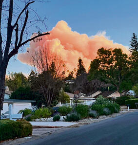 חשש לאבד את הבתים | צילום: איילה אור-אל yk14219502