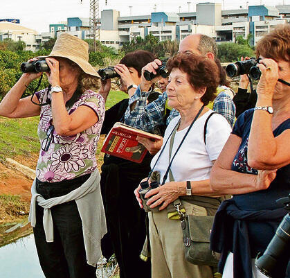 פעילות לגדולים | צילום: יהודה כץ yk14226563