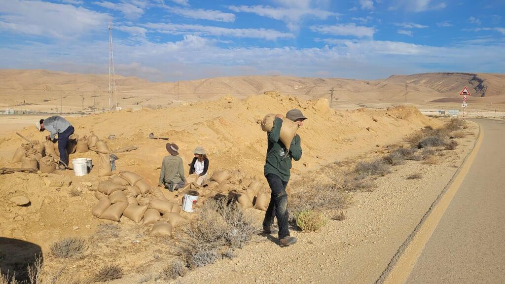 הפרויקט בממשית (צילום: אבשלום באב"ד, רשות הטבע והגנים) הפרויקט בממשית