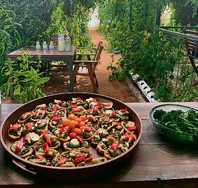 "מהחממה לצלחת" yk14236865