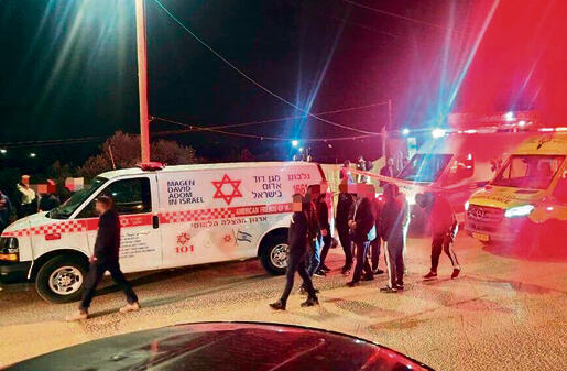 זירת הרצח | צילום: תיעוד מבצעי מד"א yk14237945