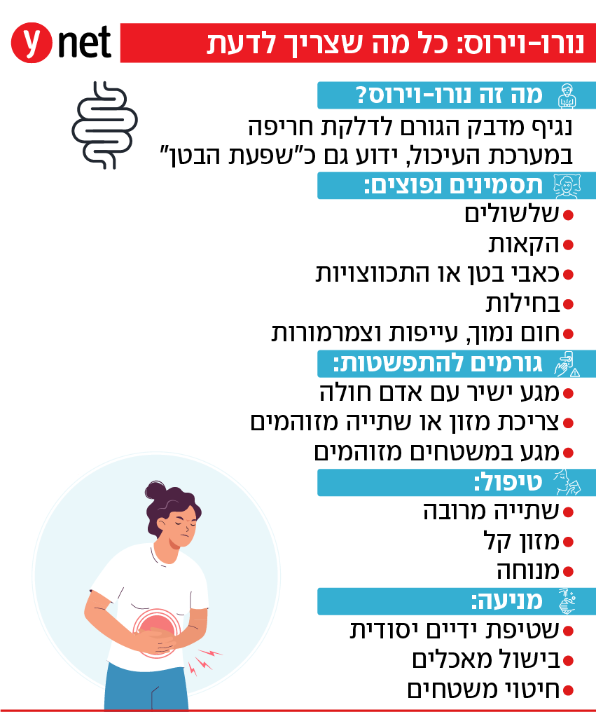 נורו-וירוס נורו-וירוס