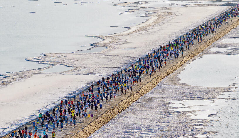 צילום: אורן אלון yk14239810