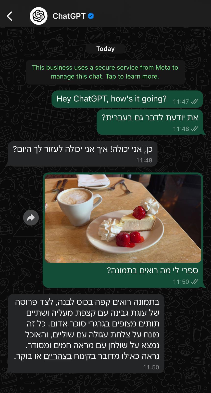 שיחה ראשונה שניהלנו עם GPT בוואטסאפ, כולל שליחת תמונה וקבלת מידע עליה