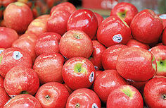 יבוא של 60 אלף טון. תפוחי עץ | צילום: דנה קופל yk14249411