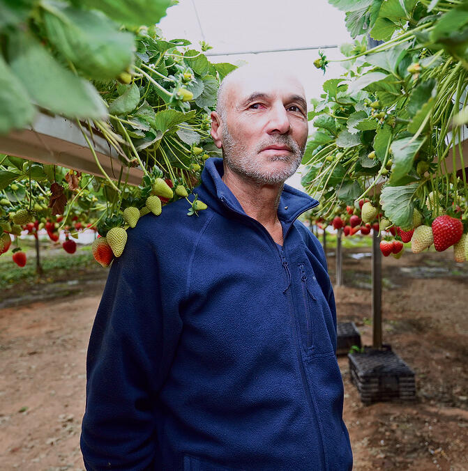 וולק. "מישהו יתנדב לקום וללכת?" | צילום: תומר שונם הלוי yk14251033