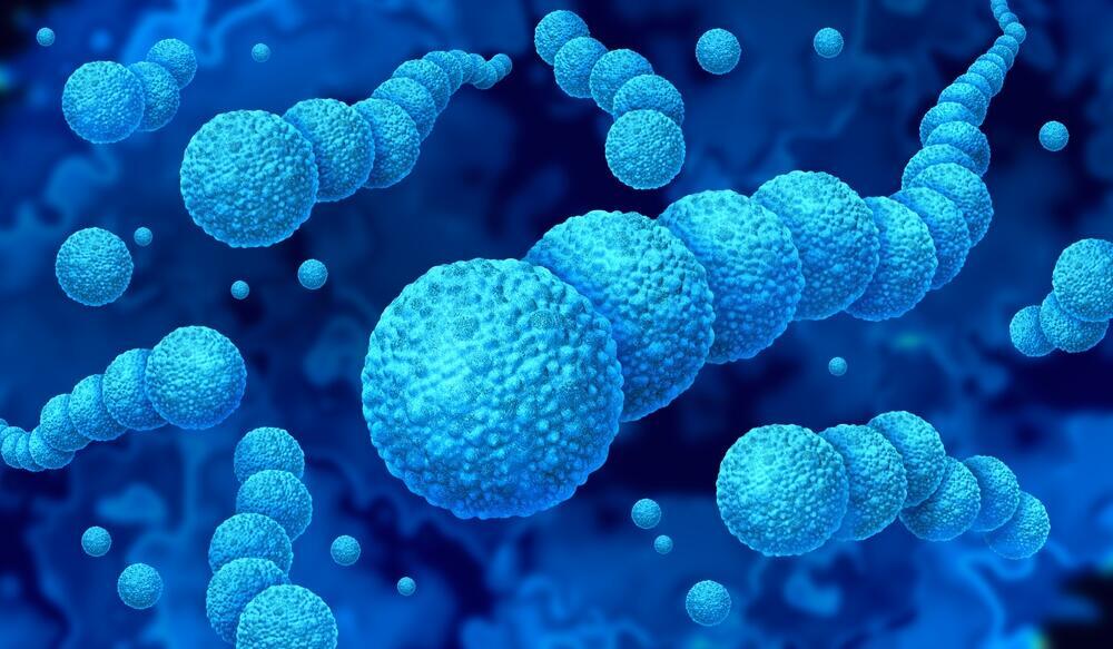 הימצאות חיידק הפה Streptococcus anginosus קשורה לסיכון מוגבר לשבץ. <span style="font-weight: normal;">אילוסטרציה</span> (צילום: Shutterstock) Streptococcus, סטרפטוקוקוס