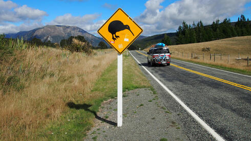 Israeli woman killed in New Zealand hit-and-run