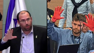 שמחה רוטמן בוועדת חוקה חוק ומשפט