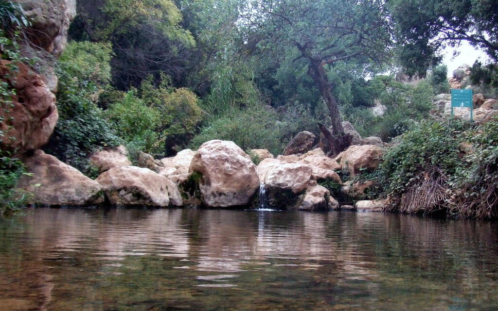 נחל צלמון (צילום: דוד וערן גל-אור) נחל צלמון