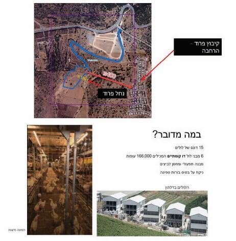 צילום: באדיבות אורי צור