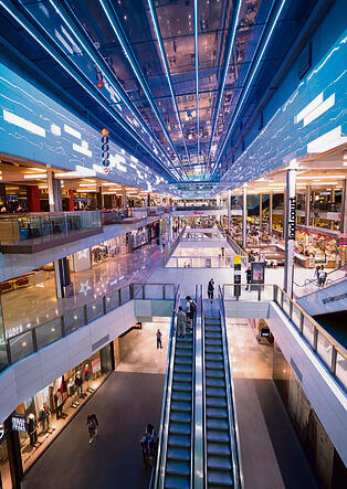 צילום: שאטרסטוק yk14249348