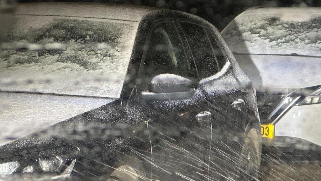 Snow in northern Israel (Photo: Aliza Cohen) שלג בישוב נטועה