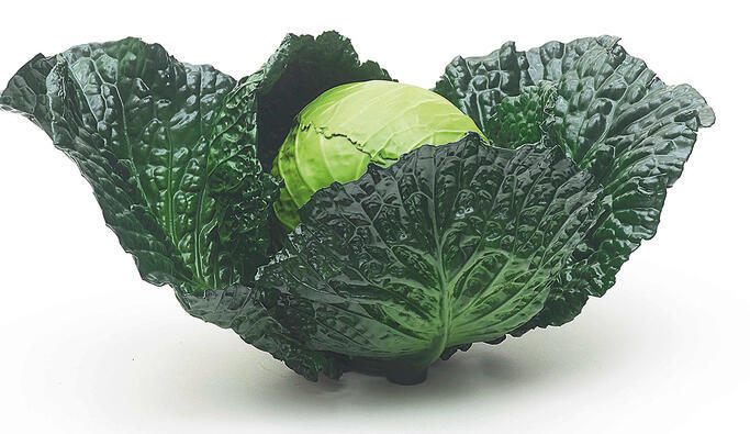 צילום: פרידמן בנדה yk14276210